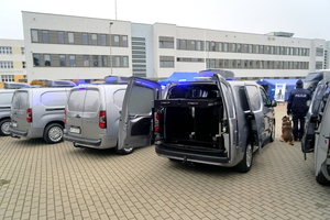 Przestrzeń pojazdu Toyota Proace przystosowana do przewozu psów