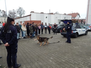 Parking przy komendzie Policji. Przewodnik psa opowiada o swojej służbie z czworonogiem. Przed nim stoją uczniowie.  W tle widać radiowozy policyjne