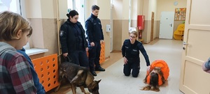 Korytarz w Szkole Podstawowej w Przepałkowie.  Po lewej stronie zdjęcia stoi policjantka i policjant oraz uczeń. Na wprost na podłodze klęka druga policjantka wraz z jedną z uczennic. Pokazują jak prawidłowo wykonać pozycje na tzw.  żółwia. W oddali widać drzwi do pozostałych sali lekcyjnych.
