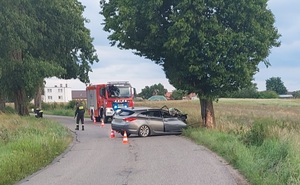 Zdjęcia rozbitego na drzewie pojazdu. W tle widać strażaków oraz okoliczne pola uprawne.