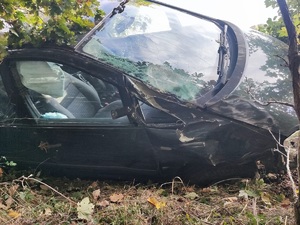 Zdjęcie auta znajdującego się w zaroślach należącego do nietrzeźwej kierującej.