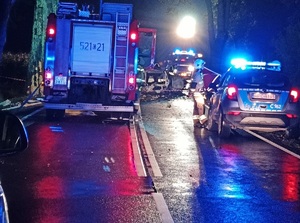 Miejsce wypadku drogowego w Trzcianach. W oddali widać radiowóz policyjny oraz pojazd straży pożarnej .