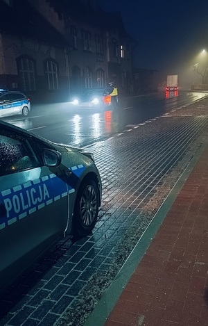 Policjant kontroluje zatrzymany pojazd.