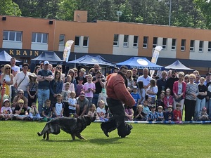 Policjanci na festynie z okazji Święta Rodziny-pokaz tresury psów policyjnych