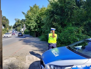 Policjanci kontrolują ruch drogowy