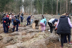 Akcja sadzenia lasu w Leśnictwie Adamowo.