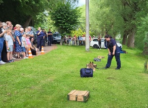 Pokaz tresury psów służbowych